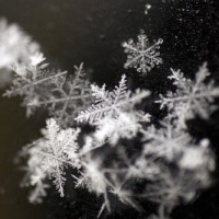 Wybór nart biegowych Wybór nart biegowych Autorem artykułu jest Martiana Wybór nart biegowych wbrew pozorom nie jest taki prosty. Do wyboru mamy kilka rodzajów nart w zależności od ich zastosowania, kilka rodzajów wiązań...